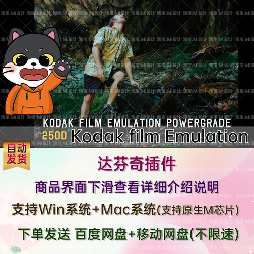 达芬奇柯达电影胶片质感视频调色节点 Kodak film Emulation