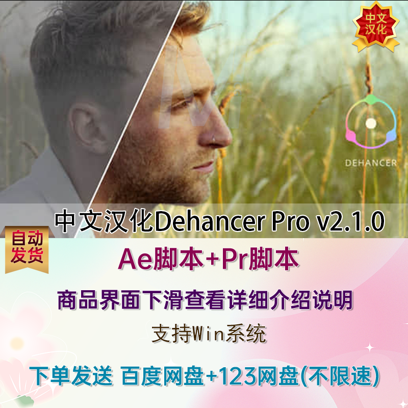 Win中文汉化AE/PR插件电影胶片质感调色插件Dehancer Pro v2.1.0