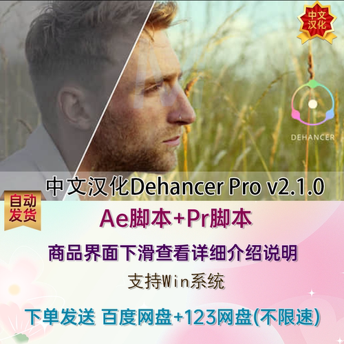 Win中文汉化AE/PR插件电影胶片质感调色插件Dehancer Pro v2.1.0