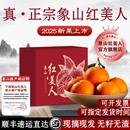 正宗 象山红美人官方旗舰店柑橘爱媛28号橙橘子果冻橙浙江宁波5