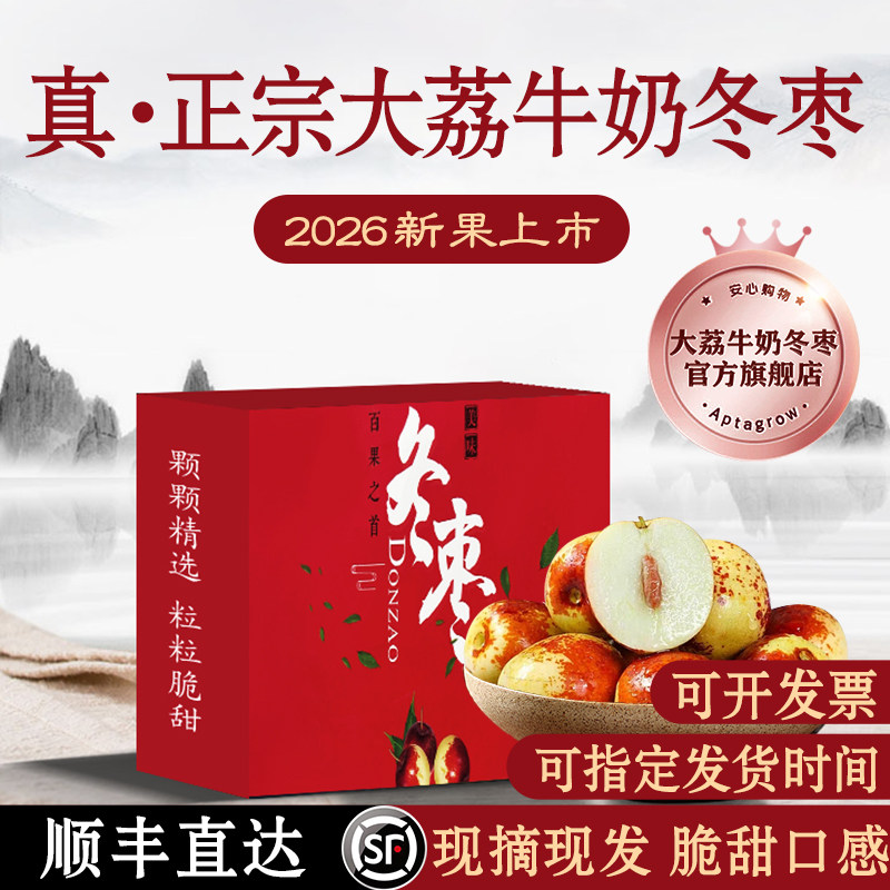 正宗陕西大荔牛奶冬枣现摘现发
