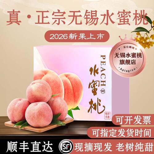 正宗无锡水蜜桃现摘现发顺丰直达