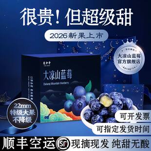 纯甜无酸]大凉山蓝莓官方旗舰店花香脆甜特大鲜果高山果香当季H26