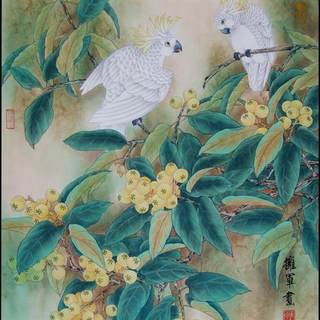 苏绣DIY套件初学 白鹦鹉 工笔花鸟 大画心51*40 手工刺绣装饰画