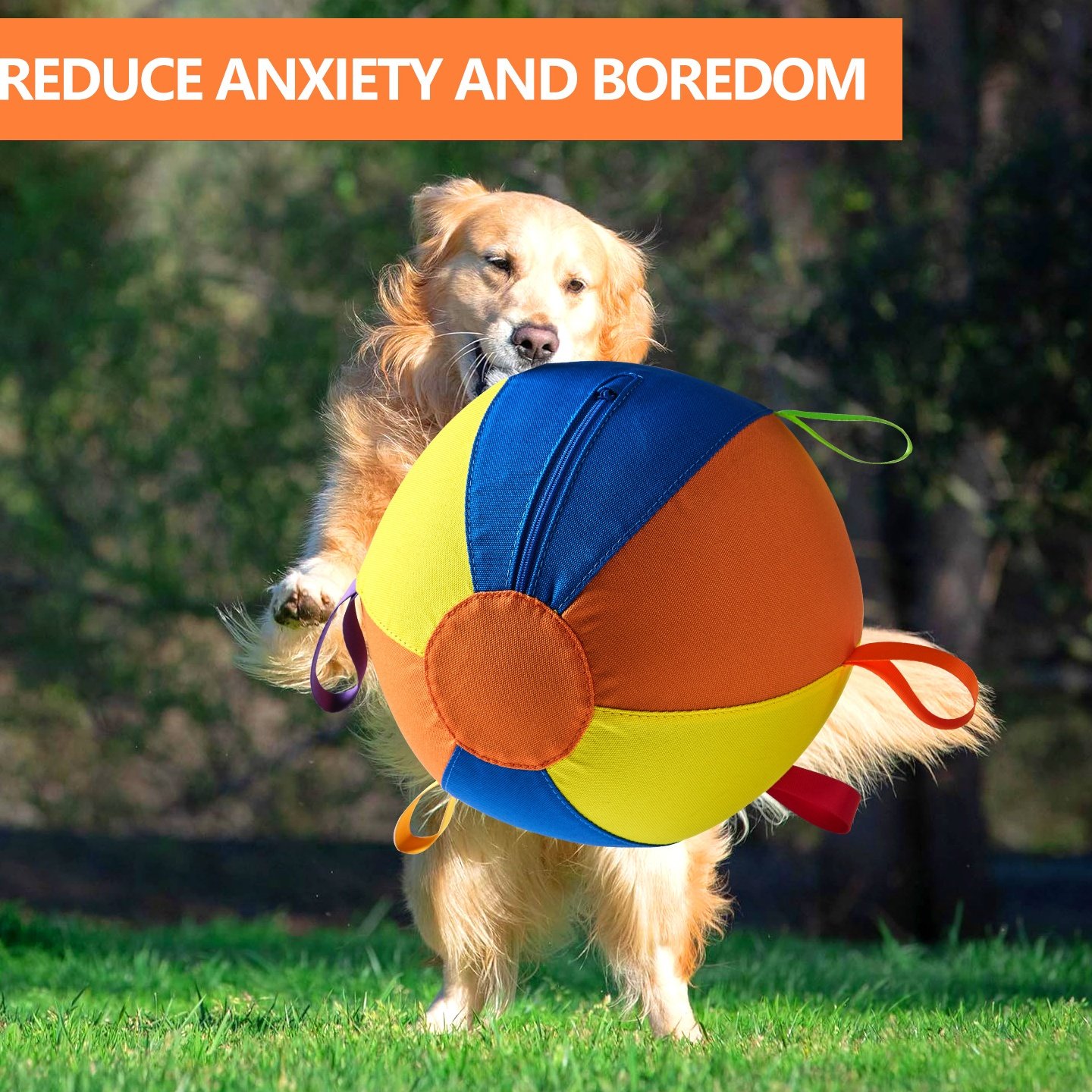 狗狗巨型球玩具，全套狗球金毛耐咬球解闷球逗柴犬柯基自嗨宠物球,宠物/宠物食品及用品,猫狗特色玩具,淘宝优惠券,粉丝福利购,淘宝优惠卷