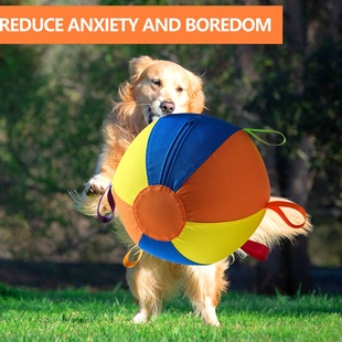 狗巨型球玩具金毛解闷逗柴犬柯基自嗨宠物球大球狗狗