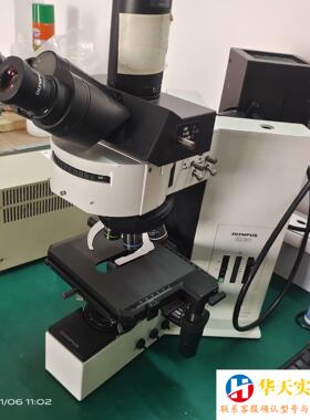 #Olympus/奥林巴斯 荧光显微镜BX60  u-MWG