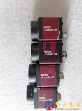 ALLIED工业相机GPF125BASG