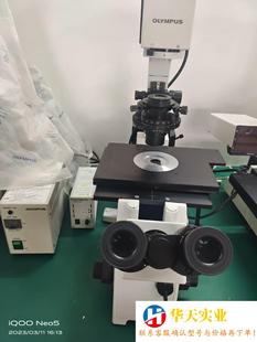 奥林巴斯lX71倒置荧光显微镜