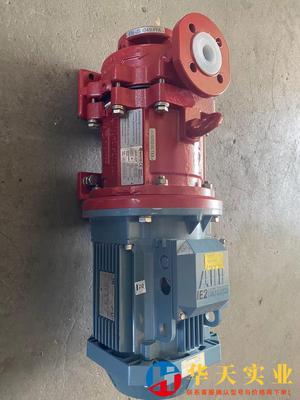 RICHTER(瑞希特)磁力泵可