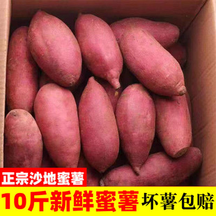 新鲜蜜薯9斤板栗红薯沙地糖心地瓜农家自种番薯现挖黄心香薯山芋