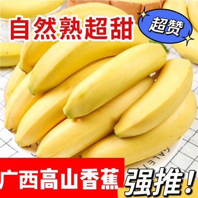 广西高山香蕉新鲜水果当季自然熟10斤大芭蕉小米蕉甜香蕉绿皮催熟