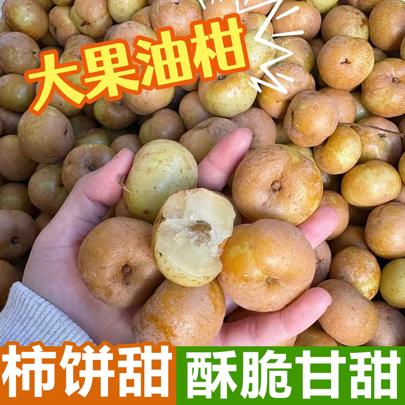 潮汕油柑果新鲜崩坎油甘果余甘子牛甘果滇橄榄甜种柿饼甜油柑现摘