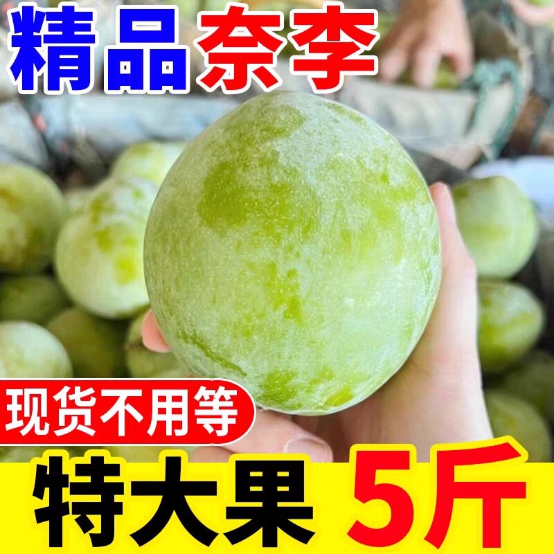 广西青奈李新鲜水果当季