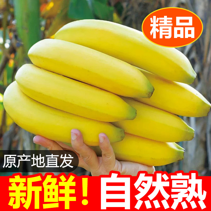 广西香蕉绿皮高山大香蕉自然熟banana生青香蕉当季现摘新鲜水果