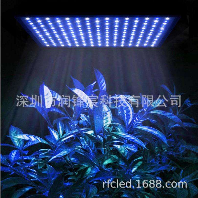 新品225灯全蓝植物补光灯15W45W紫萝兰LED植物补光灯育苗种植灯