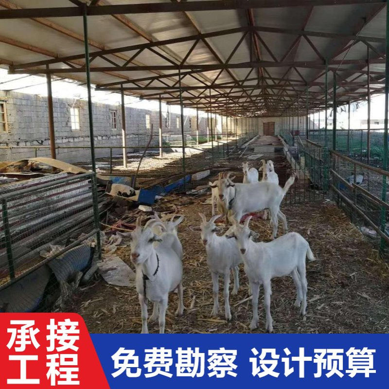 凯富特养牛场建设养牛场牛棚建设农村小规模钢结构牛羊棚搭建
