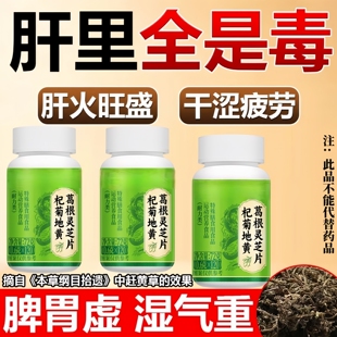 葛根灵芝片养肝护肝口苦口臭胃火心火肝火旺火气大喝酒熬夜应酬