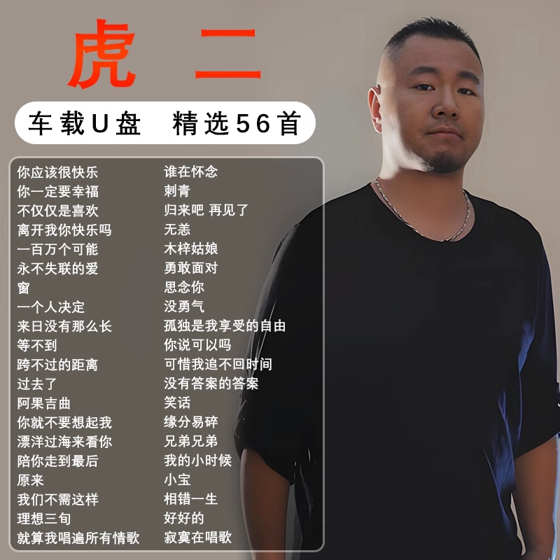 虎二专辑全集歌曲音乐车载随身碟无失真高音质正版流行专用汽车US