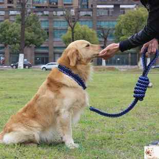 极速Double Strand Rope Large Dog Leashes Metal PS Chain Buck