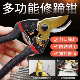 专用剪子修羊I蹄钳工具猪蹄刮刀削马蹄 极速兽用修蹄刀牛脚羊脚
