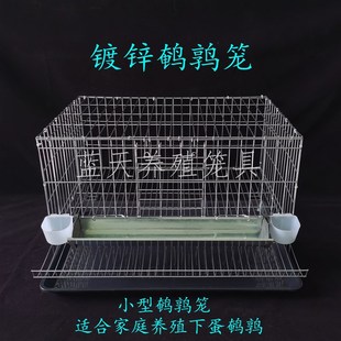 极速鹌鹑专用笼鹌鹑笼小型笼x方笼家用养殖鹌鹑笼下蛋笼自动滚蛋