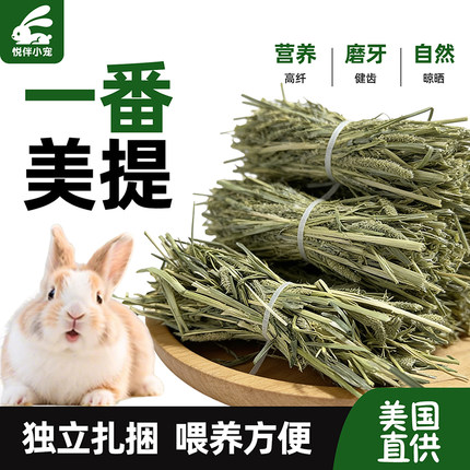 晒干进口一番二压提摩西草扎捆兔子专用干草龙猫豚鼠提草兔粮批发