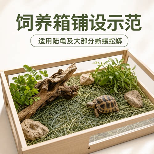 提摩西草碎天然垫料小宠造景垫材
