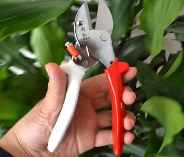 台湾冈弘岡弘V517省力剪强力枝剪冈弘修枝剪园艺剪粗枝剪花