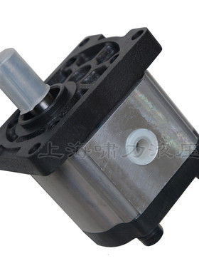 CBTt-F320L6P7 齿轮泵 CBTt-F320L6P7L 液压泵啸力