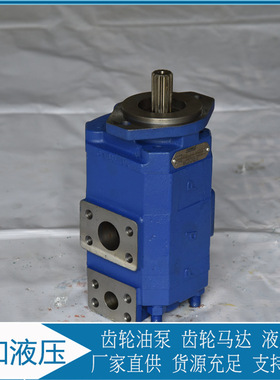 成工942H泊姆克齿轮泵1115442004 运行稳