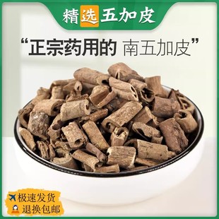 中药材五加皮500/250/100g正品南五加皮非野生五加皮粉五加皮根片