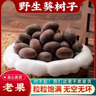 葵树子野生中药材500g精选广西大粒葵树籽老果葵扇子葵扇籽蒲葵籽