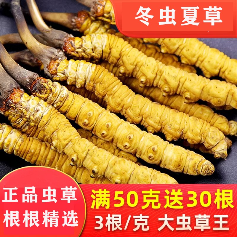 冬虫夏草官方旗舰店10克30根头期正品虫草50克礼盒装
