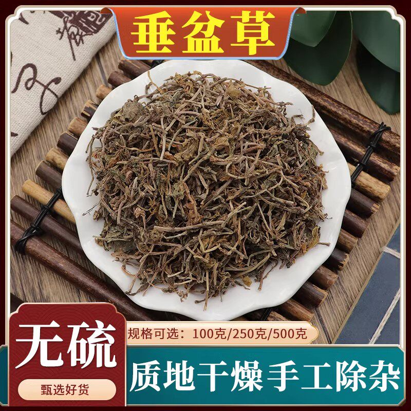垂盆草中药材500g干货泡茶垂盆草干垂盆草锤盆草泡水天然无硫包邮