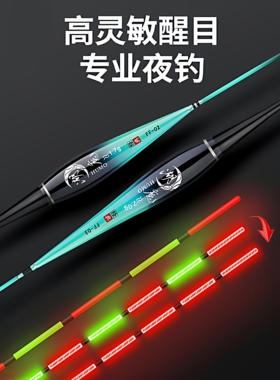 阿卢鱼漂夜光漂电子漂咬钩变色浮漂日夜两用钓鱼具鲫鱼漂夜钓渔具