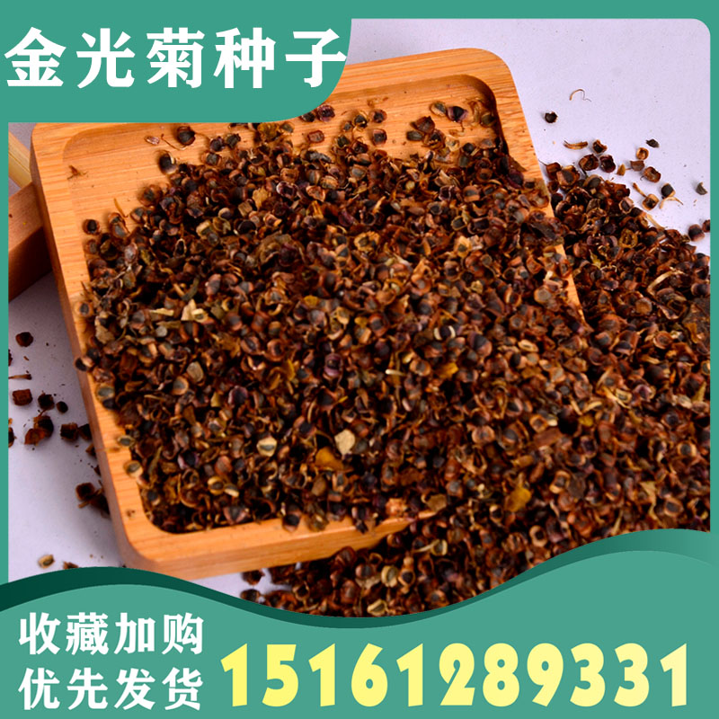 金光菊种子多年生花种子籽四季易活庭院盆栽室外景观绿化花卉耐寒图片