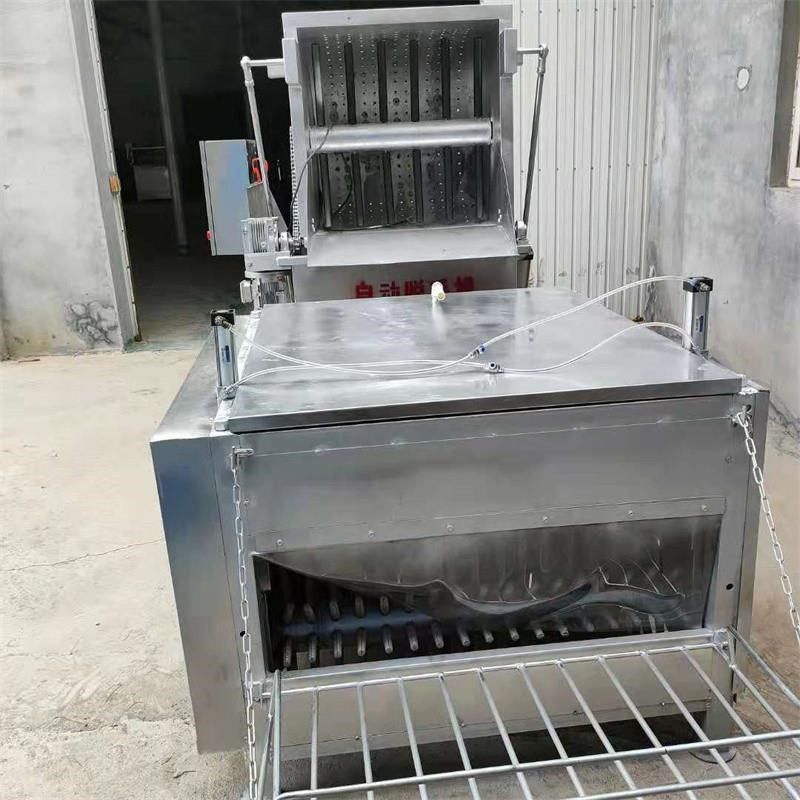 全自动家禽脱毛机鸡鸭鹅鸽子烫脱一体机器大型商用打毛机拔毛直营
