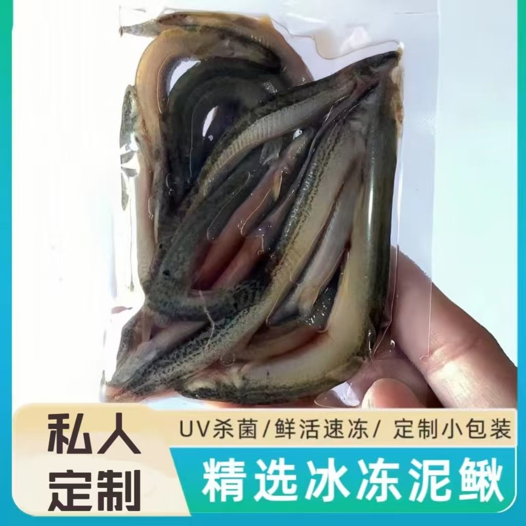 冷冻小泥鳅段麦穗鱼龙鱼增色鱼食图片