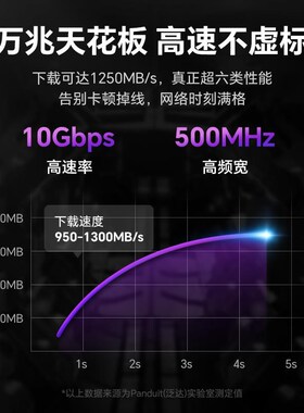 泛达超六类非屏蔽粗网线路由器家用宽带万兆连接线蓝色2米成品线