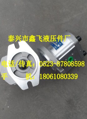 CBK1012 CBK1014 CBK1016 CBK1020 CBK1025齿轮泵B2RF B1RT B1LT