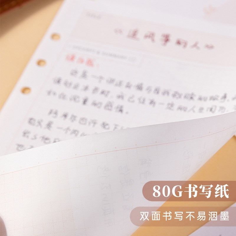 毕加索P507读书笔记本活页本原装替芯80g书写纸可拆卸A5记事本J6