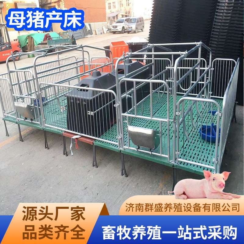 养殖场母猪产床双体复合加厚加宽猪用产床养殖用品母猪单体产床