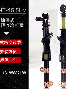 PRNT-15.5KV双敏熔丝16A20A25A30A40A50A63A80A美式变压器熔断管