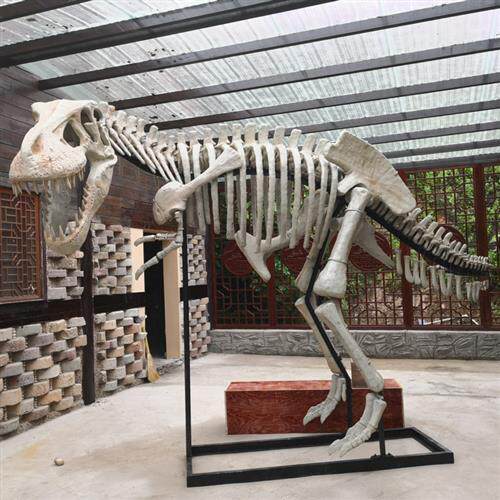 大型仿真玻璃钢化石骨头恐龙骨架树脂雕塑骨骼模型博物馆展品厂家