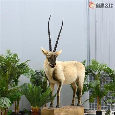 仿真动物真实触感植毛羚羊会动会叫模拟呼吸咀嚼动物景观展品
