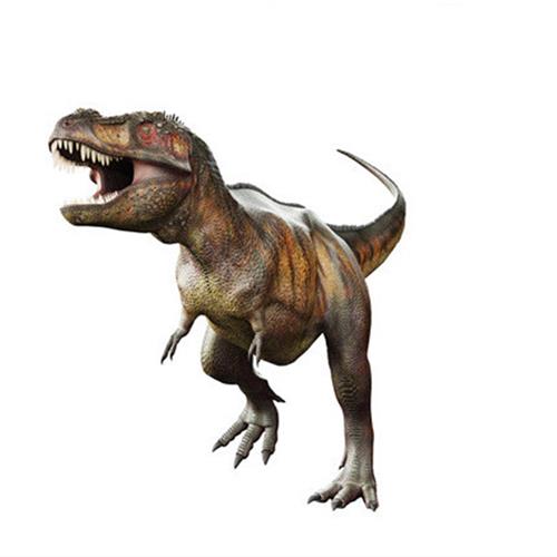 仿真恐龙恐龙产品恐龙化石恐龙模型恐龙骨架大型仿真产品