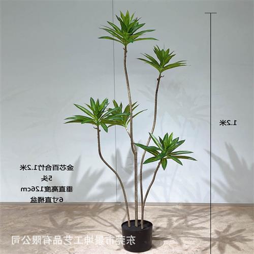 仿真百合竹盆栽北欧风绿植落地植物家居塑料装饰客厅摆件婚庆盆景图片