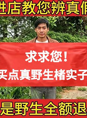 野生楮实子正品天然无硫新货泡茶