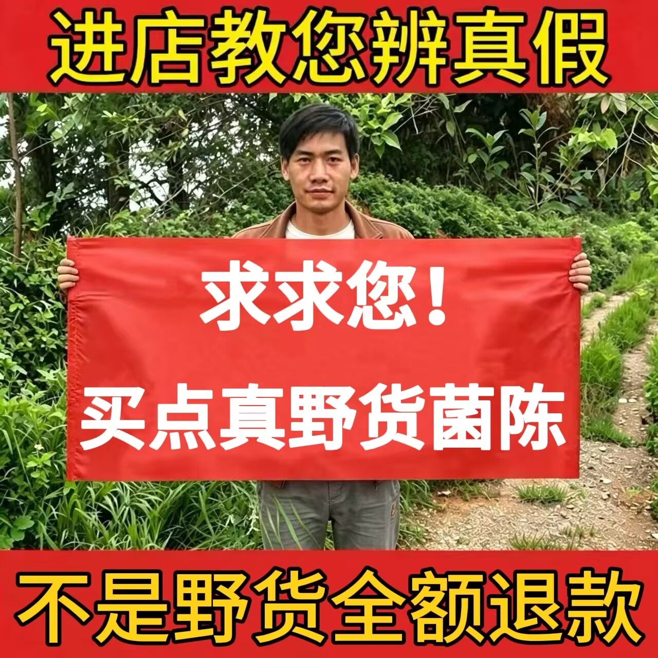 野茵陈500g中药材正品精选三月生嫩茵陈绵茵陈白蒿新鲜干货泡茶水